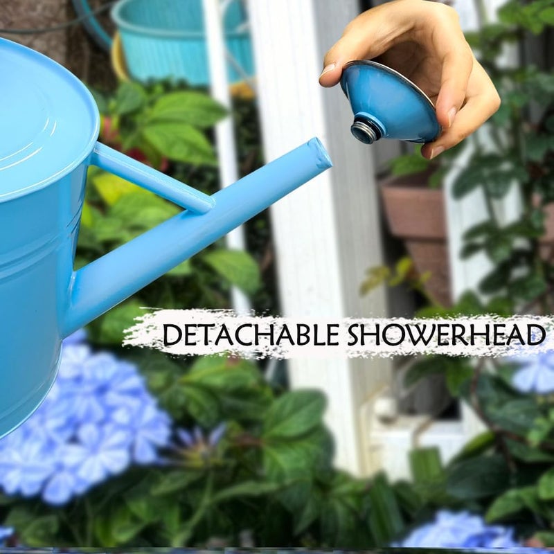 yourjoy Metal Watering Can, One Gallon Watering Cans Stainless Steel for Outdoor Indoor Garden Plants Watering (Stainless Steel Handle Blue) - Image 5